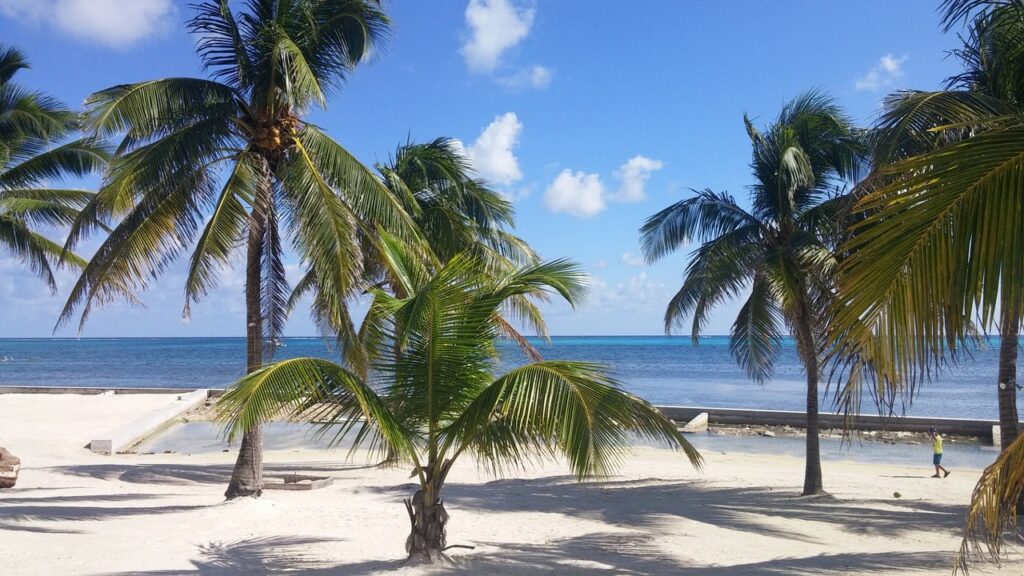 moving company san pedro